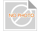 RKS. 061.25.1204   SLEWING BEARING SLEWING RING SWING GEAR